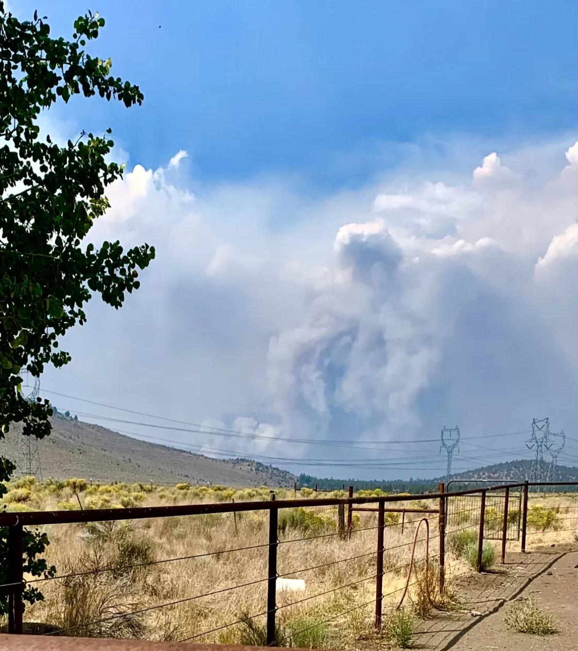 Smoke plume